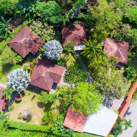Casa Marcellino Lodge Cahuita Exteriér fotografie