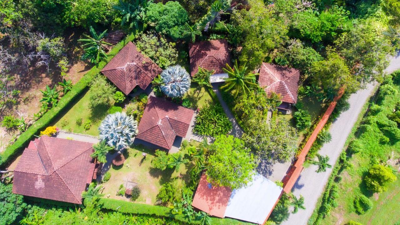 Casa Marcellino Lodge Cahuita Exteriér fotografie