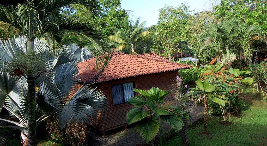 Casa Marcellino Lodge Cahuita Exteriér fotografie