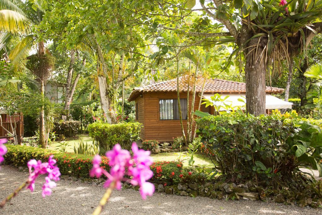 Casa Marcellino Lodge Cahuita Exteriér fotografie