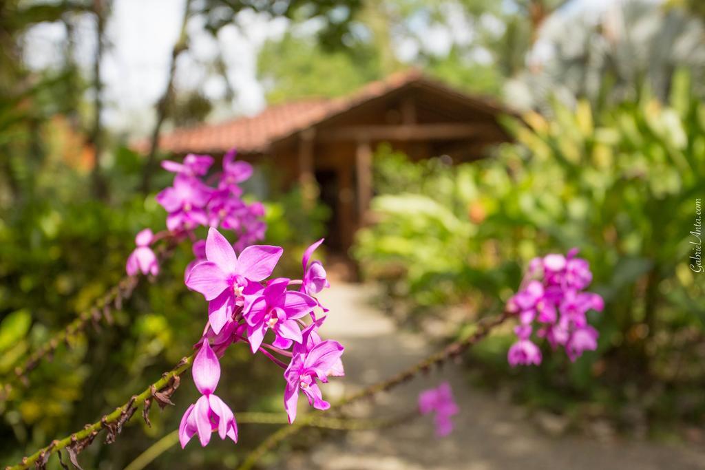 Casa Marcellino Lodge Cahuita Exteriér fotografie