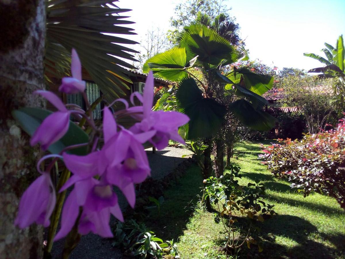 Casa Marcellino Lodge Cahuita Exteriér fotografie