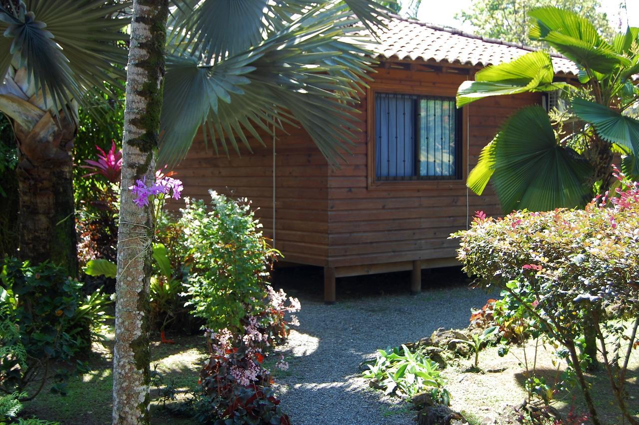 Casa Marcellino Lodge Cahuita Exteriér fotografie