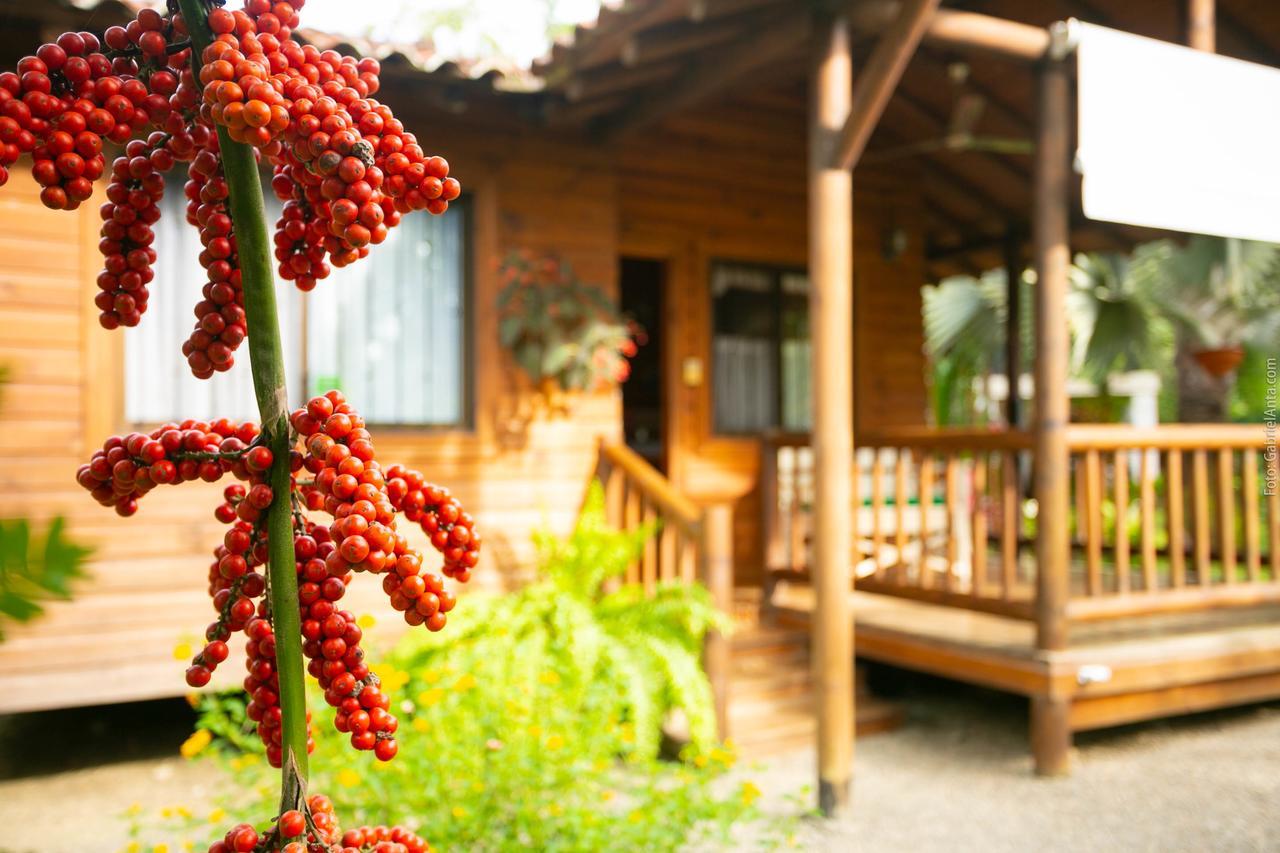 Casa Marcellino Lodge Cahuita Exteriér fotografie