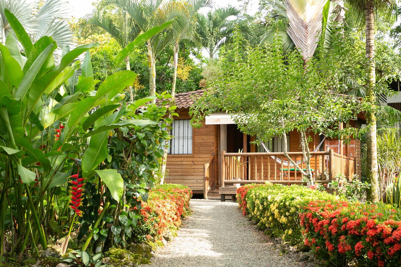 Casa Marcellino Lodge Cahuita Exteriér fotografie