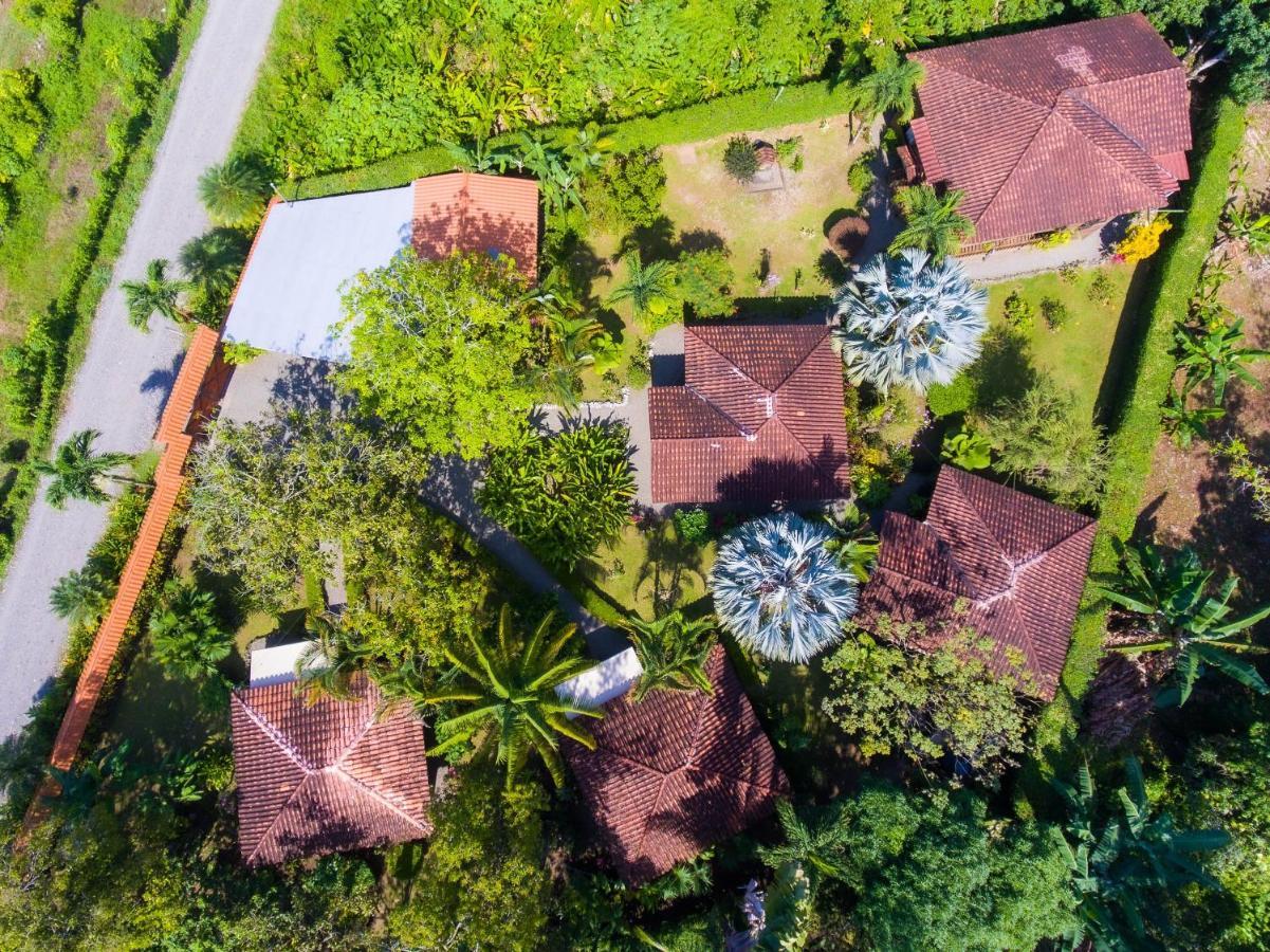 Casa Marcellino Lodge Cahuita Exteriér fotografie