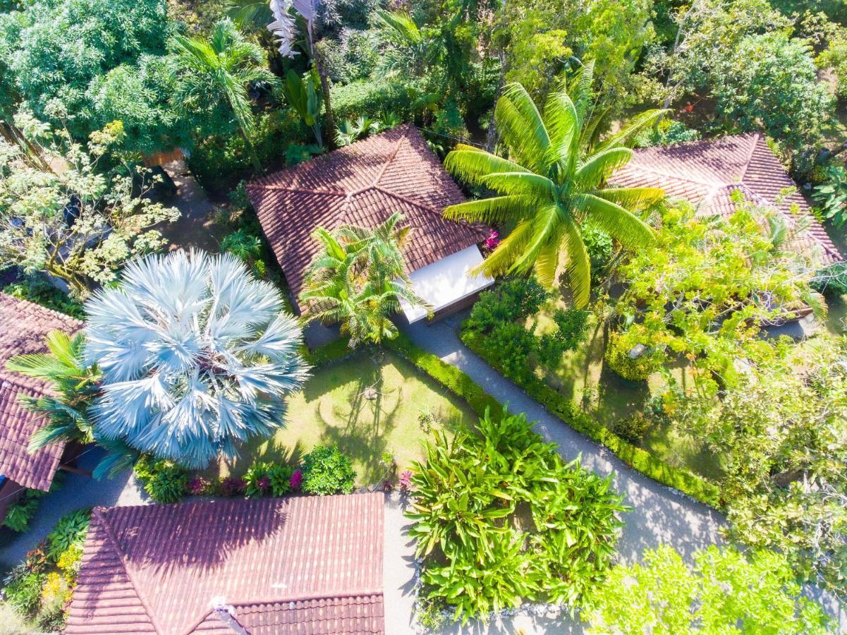 Casa Marcellino Lodge Cahuita Exteriér fotografie